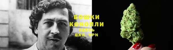 кокаин Белокуриха
