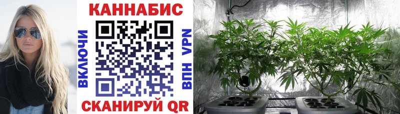 Конопля гибрид  где продают   Высоковск 